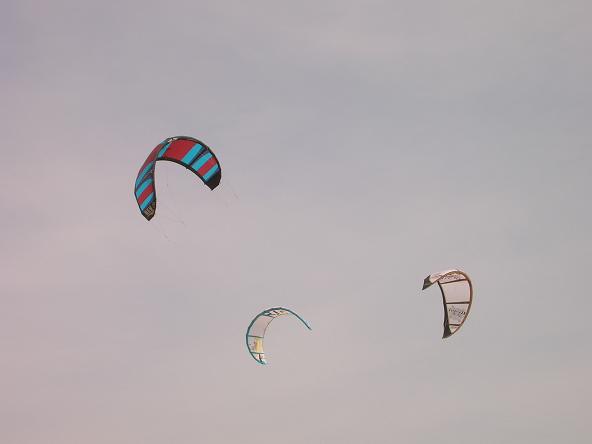 CORRIDOI A MARE ADEGUATI: TUTTO RINVIATO ALLA STAGIONE 2010