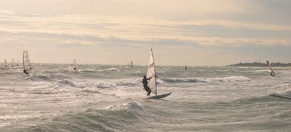 LIGNANO: SPIAGGIA PER CANI, NON PER SPORTIVI DEL MARE .....