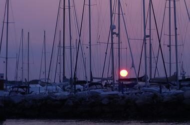 ORDINANZE COMUNALE E CAPITANERIA DI PORTO SCARICABILI