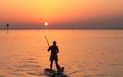 CALDO AFOSO E POCO VENTO, A LIGNANO PAGAIATE IN SUP IMMERSI NELL'ATMOSFERA LAGUNARE