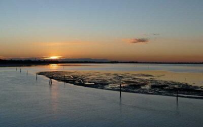 Mare, fiume, canali, laguna d'inverno offrono scenari strabilianti